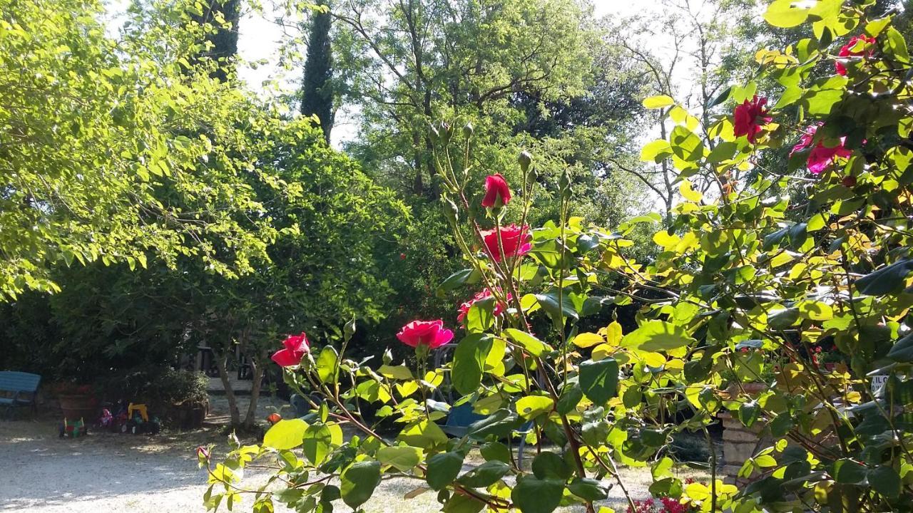 Agriturismo Alle Rose Вольтерра Экстерьер фото